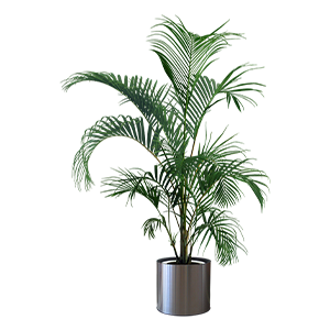 Gardening Tree